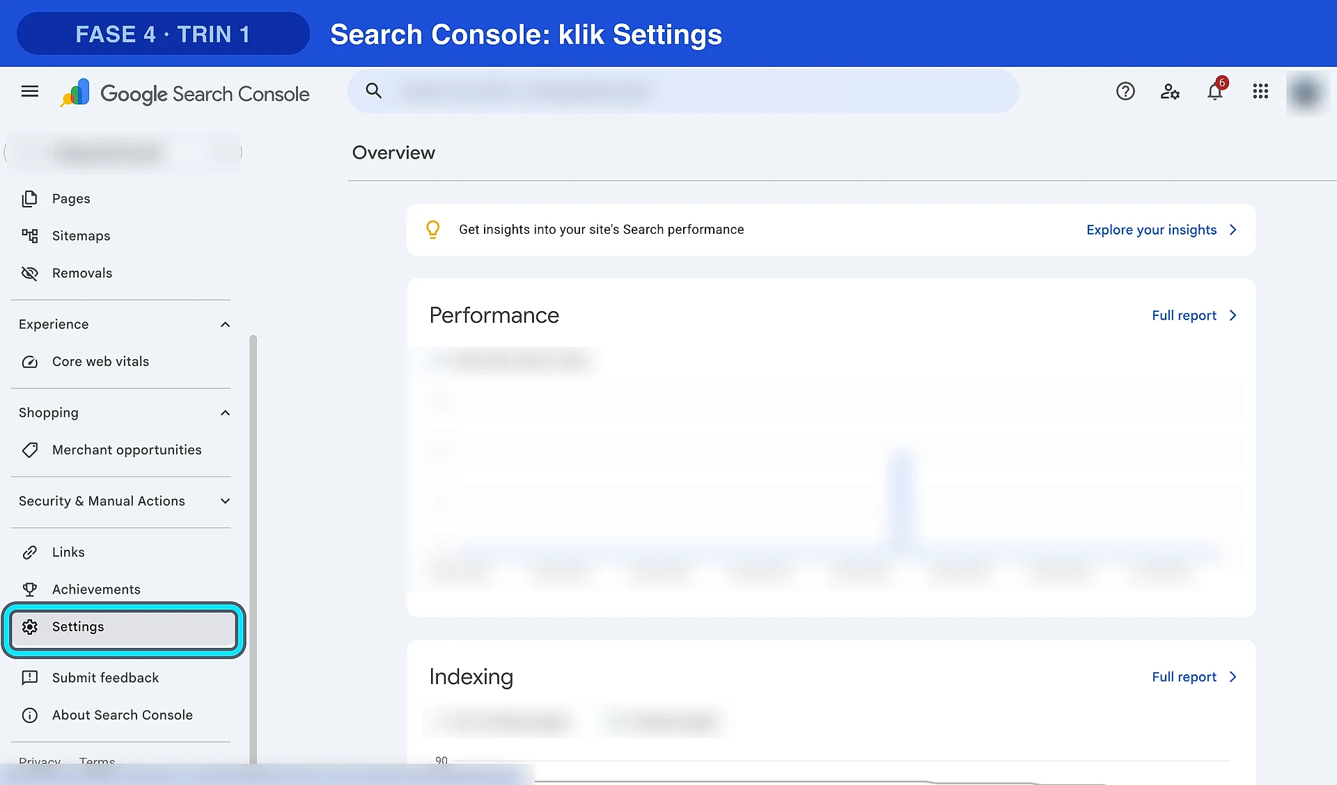 Search Console: klik Settings